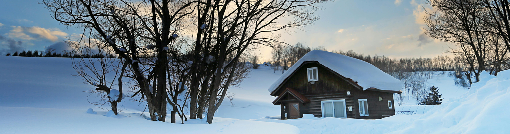 В чем плюсы страхования дачи